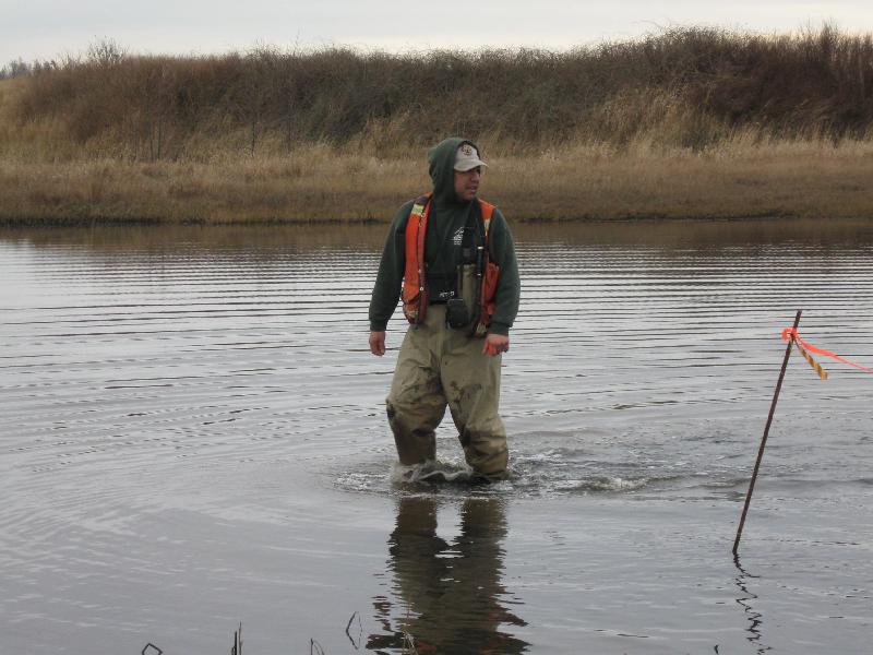 Frank delineating a wetland